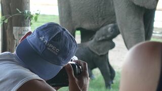 Senyati Safari Camp | Accommodation Kasane