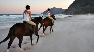 Horseride Inn | Crofters Valley Accommodation