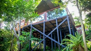 The Tree House | Accommodation Rennies Beach