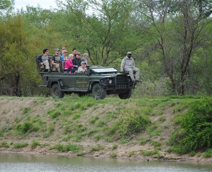 Gomo Gomo Game Lodge