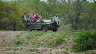Gomo Gomo Game Lodge | Accommodation South Kruger Park