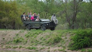 Gomo Gomo Game Lodge | South Kruger Park Accommodation