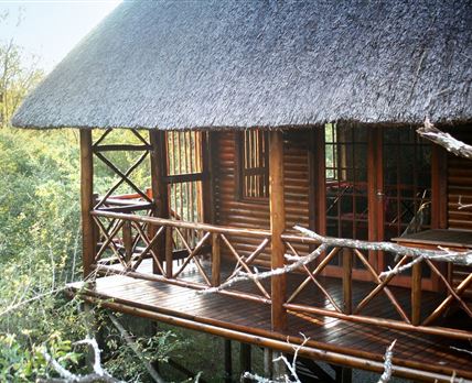 Lion Tree Bush Lodge