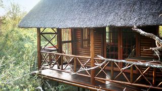 Lion Tree Bush Lodge | Marloth Park Specials