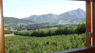 Misty Orchards | Outeniqua Nature Reserve Accommodation