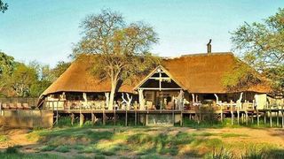 Kambaku River Sands | Accommodation Timbavati Reserve