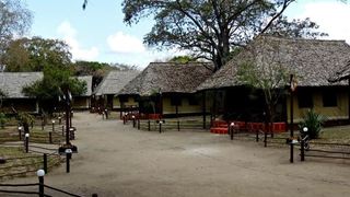 Selous Mbuyu Safari Camp | Selous Game Reserve Accommodation