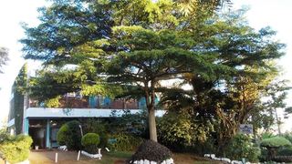 Transit Motel Chogoria | Chogoria Hotels