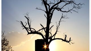Abuelita Hostel | Accommodation Lephalale (Ellisras)