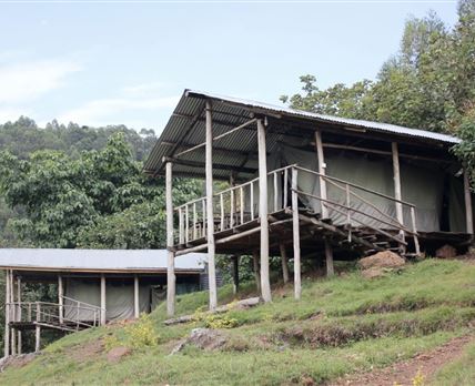 Gorilla Conservation Camp
