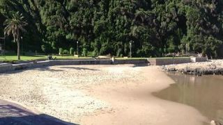 Casa Maris | Victoria Bay Accommodation