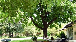 Avon Lodge | Accommodation Treehaven Waterfowl Trust