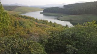Turaco Farm Cottage | Accommodation Haenertsburg