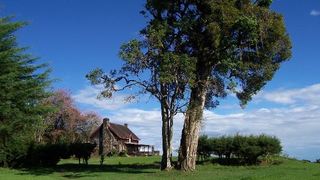 Castle Forest Lodge | Mount Kenya Lodges