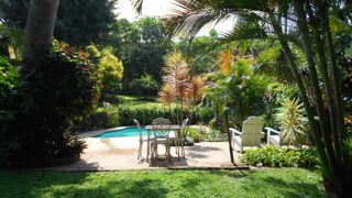 Birdhaven | Africa Specials