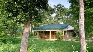 Ishasha Wilderness Camp | Accommodation Bwindi Impenetrable National Park