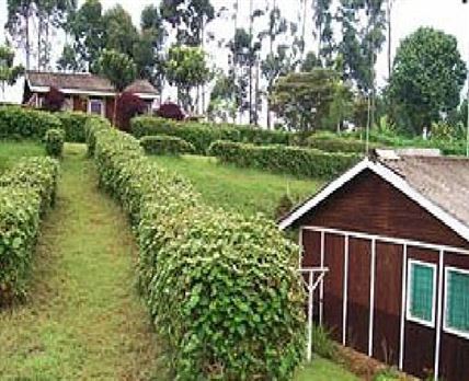 Muchiri's Resort