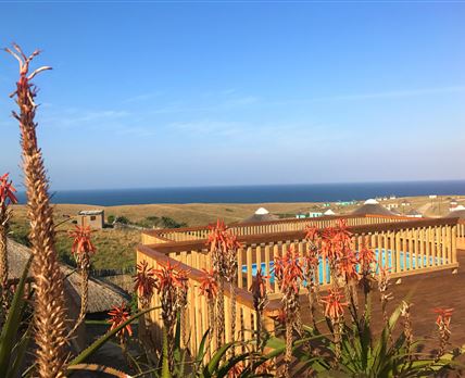 Swell Eco Lodge