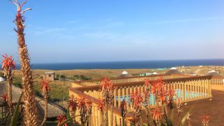 Swell Eco Lodge | Accommodation Mdumbi Beach