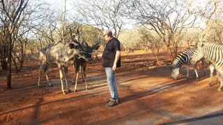 Nyamazane Lodge | Marloth Park Self-catering