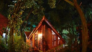 Forest Cottages | Accommodation Kololo