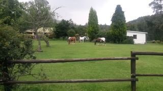 Go Country | Lodges Dullstroom