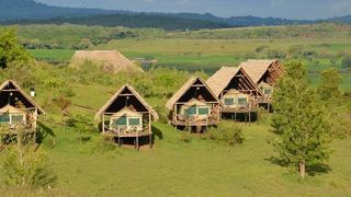 Rhotia Valley Tented Lodge | Accommodation Karatu