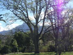 Wagendrift | Glenwood (George) Accommodation