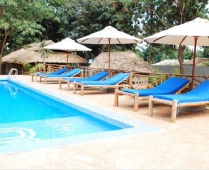 Honey Badger Lodge, Safaris and Mountain Climbing