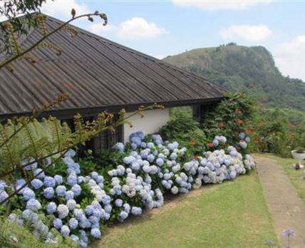 Matere Cottage