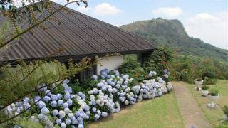 Matere Cottage | Accommodation Vumba Botanical Reserve