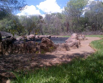 Umbabala Bush Camp