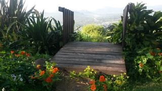 Loerieroep at Nelspruit | Nelspruit Specials