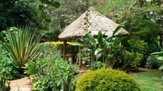 Gately on Nile | Jinja Accommodation