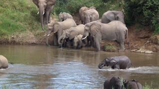 Rio Vista Lodge | Lodges Malelane
