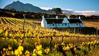 Aaldering Vineyards & Wines | Lodges Stellenbosch