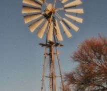 Bird's Haven | Philippolis Accommodation