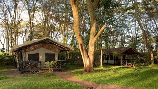 Migunga Tented Camp | Accommodation Karatu