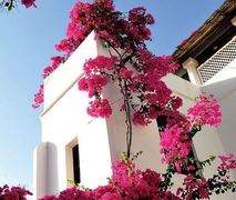 Kisimani House | Shela Accommodation