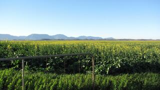 Schoongelegen Rooms | Riversdale Accommodation