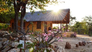Silonque Bush Estate | Accommodation Phalaborwa