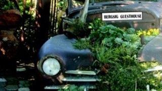 Bergsig Guesthouse | Accommodation Bergsig (Harrismith)