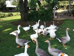 Stoneybrooke Farm | Accommodation Tierpoort