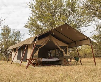 Bologonya Under Canvas