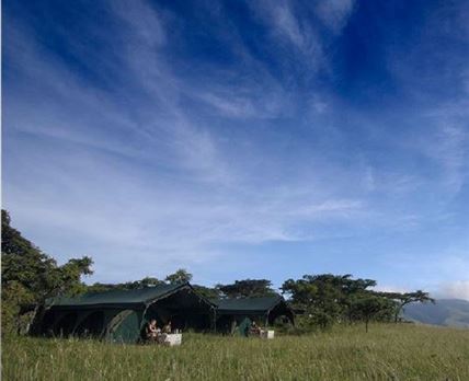 Kirurumu Ngorongoro Camp