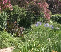 Emmarentia Flatlet | Emmarentia Self-catering