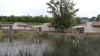 A Nutty Lane | Howick Accommodation
