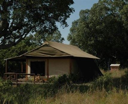 Mara West Camp
