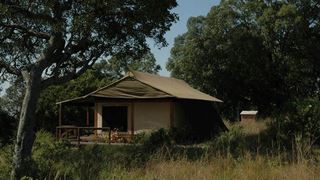 Mara West Camp | Oloololo Escarpment Accommodation