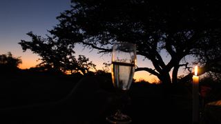 Kameel Rust and Vrede B&B and Camping | Lodges Stella